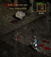 diverting the Countess