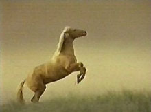 argo, absenting herself