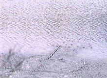 gabrielle's staff floating away